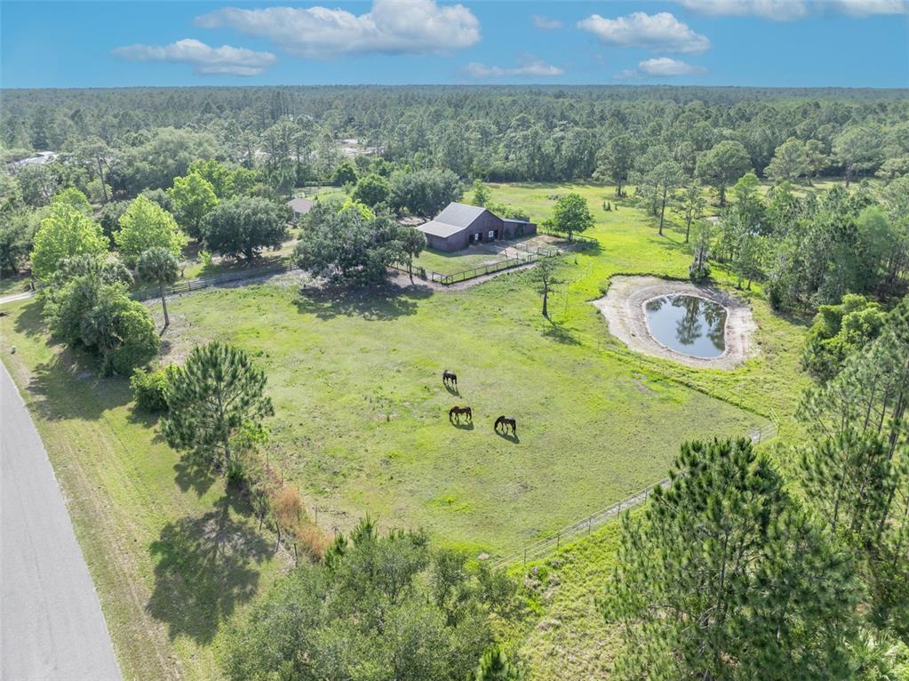 430 Cypress Isles Road Osteen, FL 32764 - Photo 42 of 55 a view of a swimming pool with a yard