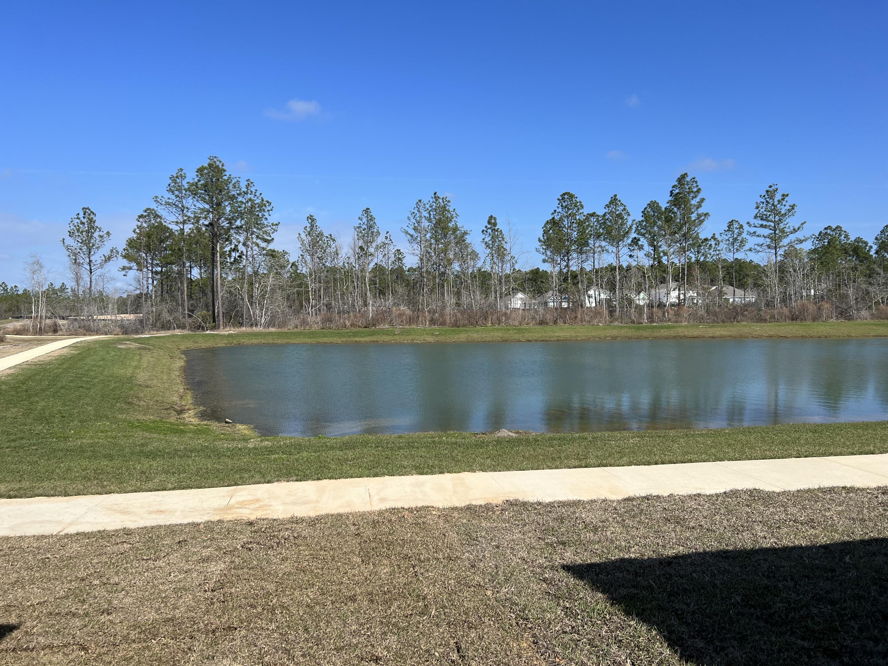 62 Spoonbill Road, Unit LOT 63 Santa Rosa Beach, FL 32459 - Photo 4 of 18 View