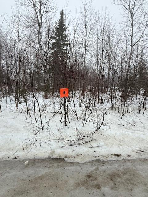 E McDonald Road Mapleton, ME 04757 - Photo 2 of 7 IMG_2101