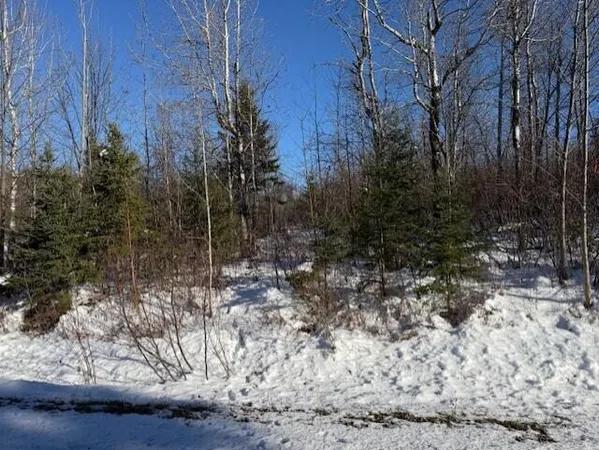 $32,900 | E McDonald Road, Mapleton, ME 04757