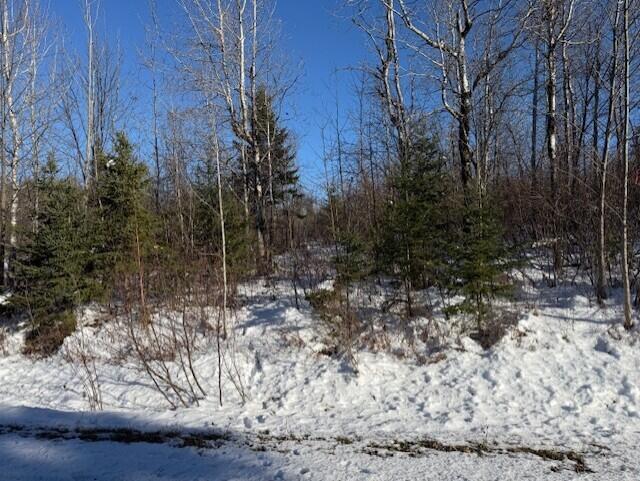 E McDonald Road Mapleton, ME 04757 - Photo 4 of 7 thumbnail_IMG_1814