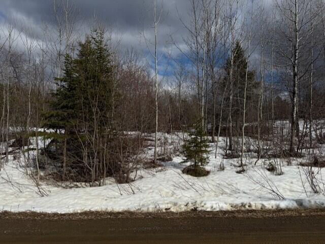 E McDonald Road Mapleton, ME 04757 - Photo 5 of 7 thumbnail_IMG_9415