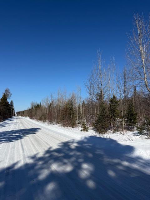 E McDonald Road Mapleton, ME 04757 - Photo 6 of 7 IMG_2243