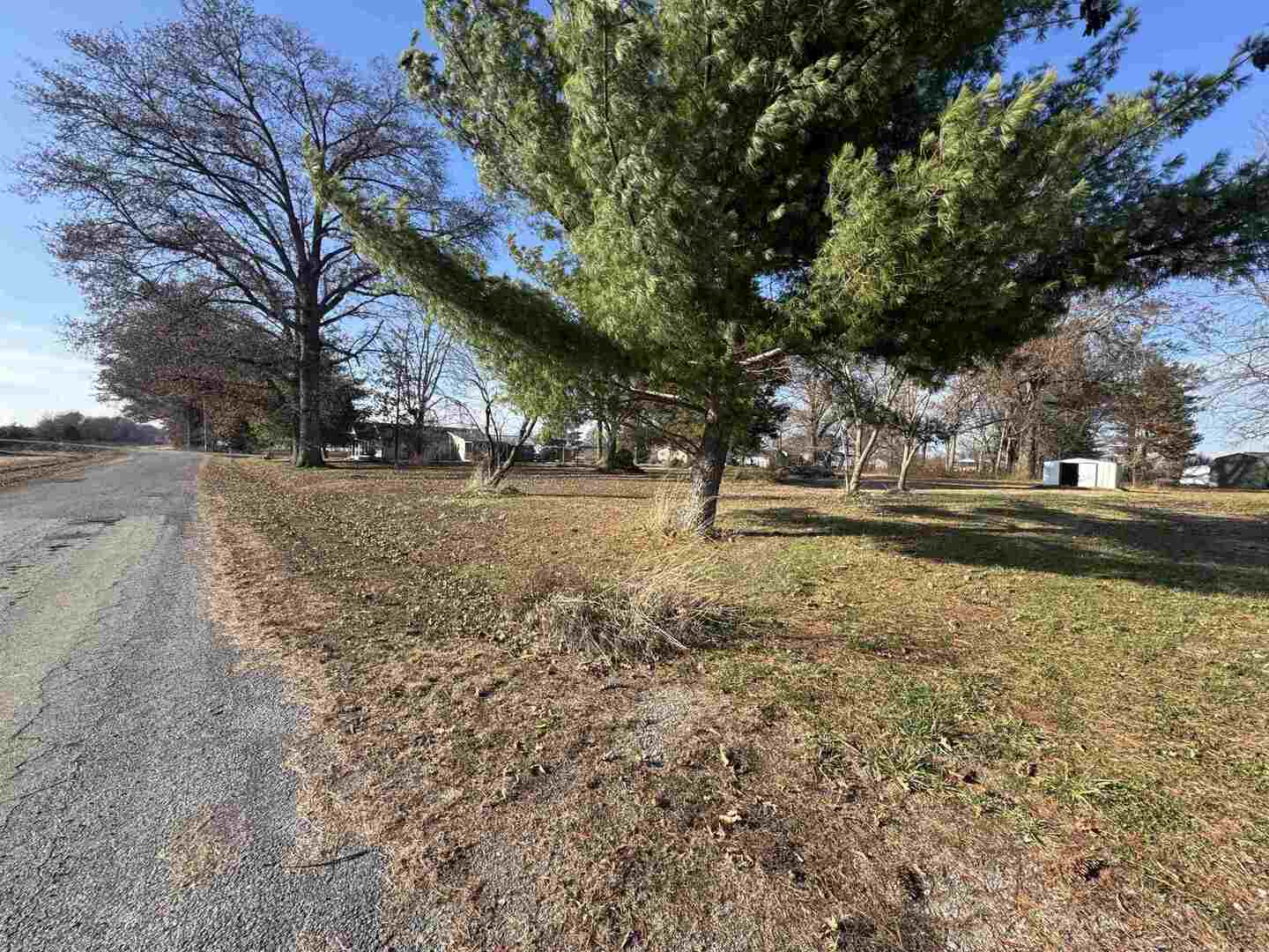 104 Malone Street Sims, IL 62886 - Photo 12 of 13 a view of a yard with a tree