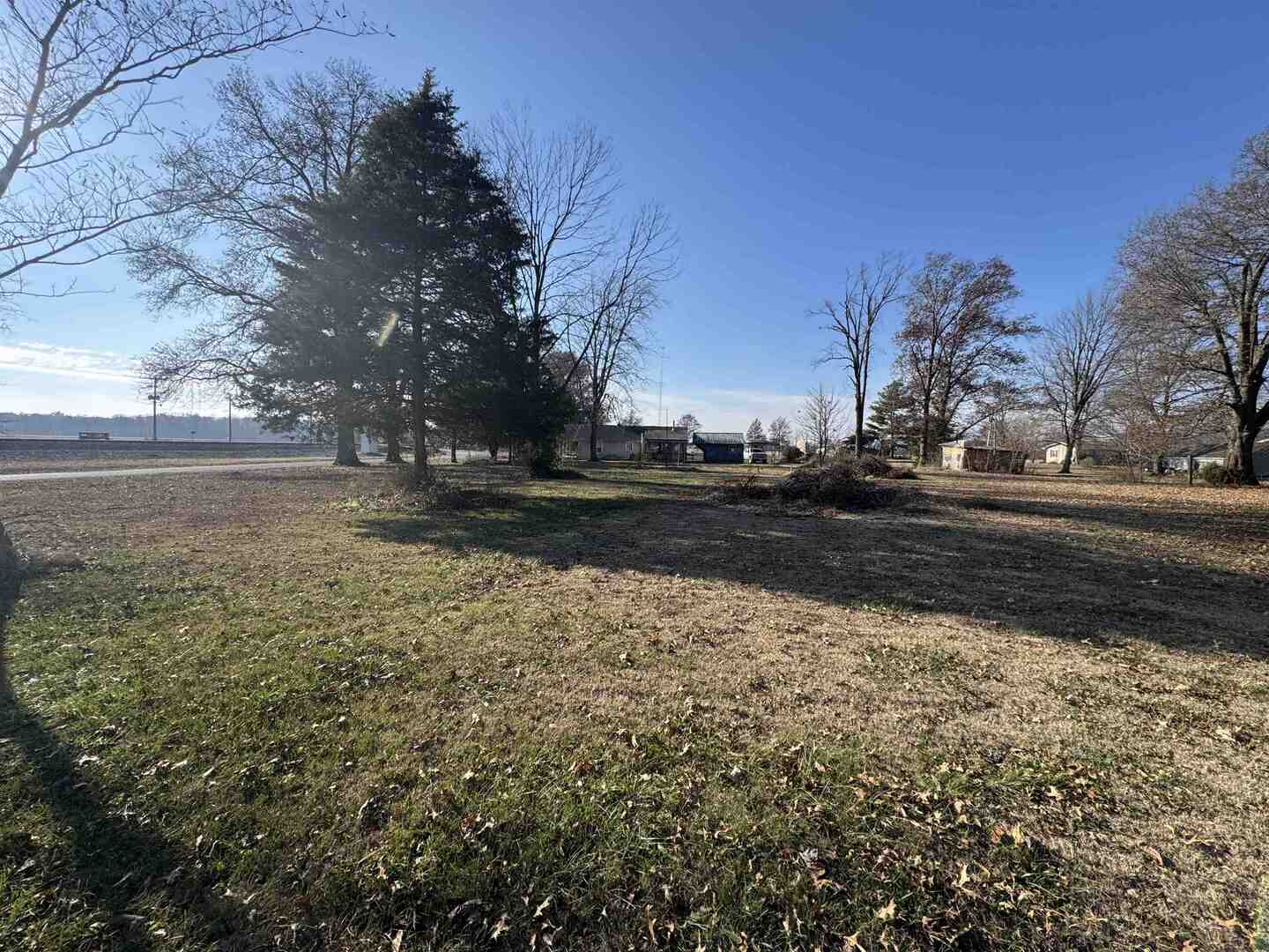 104 Malone Street Sims, IL 62886 - Photo 13 of 13 a view of dirt yard with a large tree