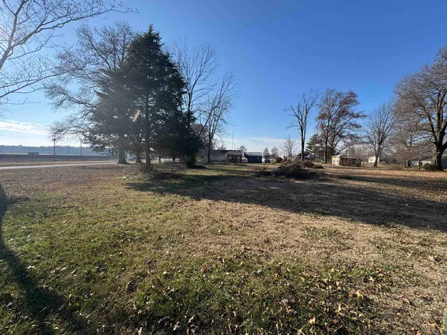 a view of dirt yard with a large tree