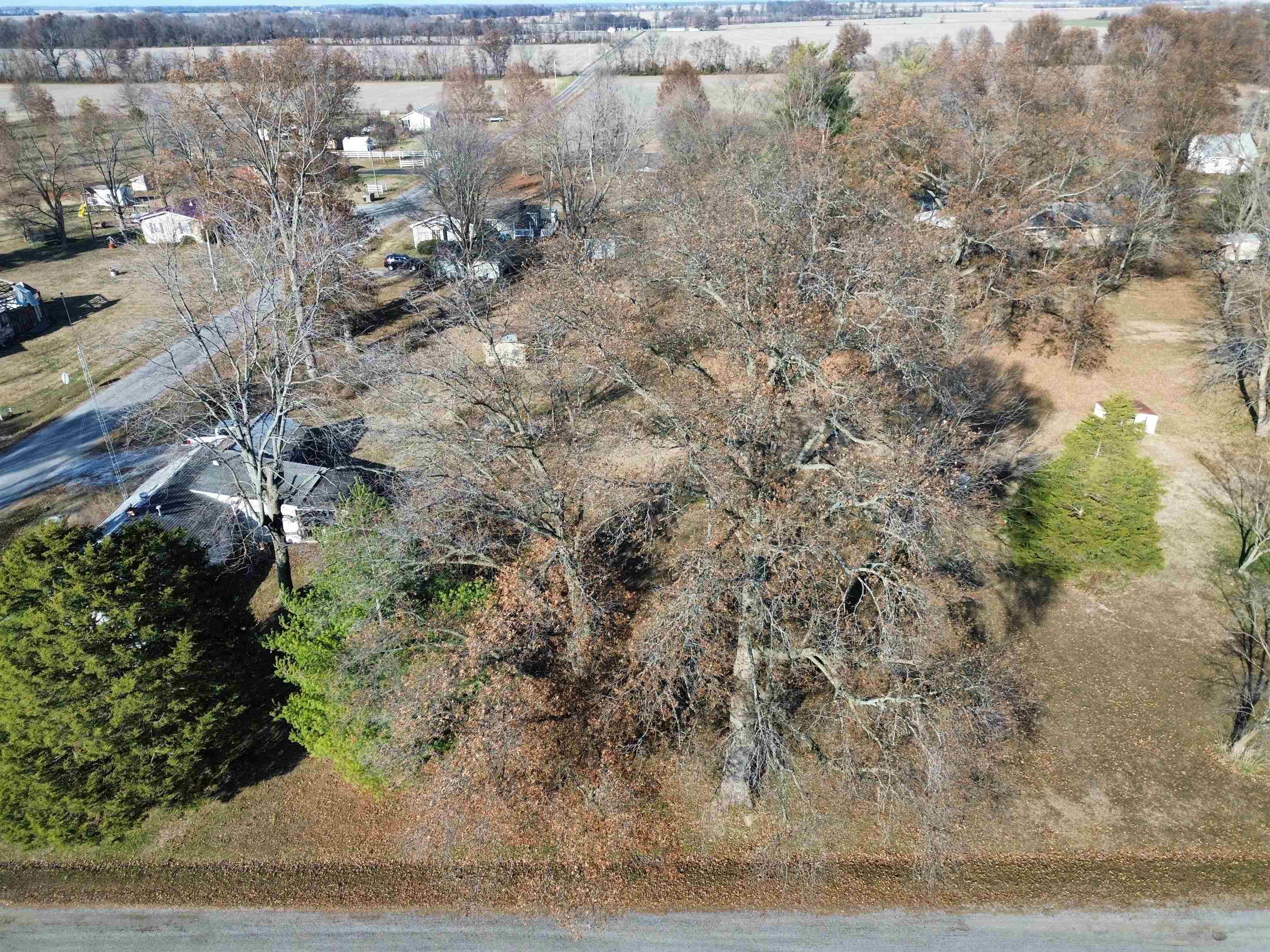 104 Malone Street Sims, IL 62886 - Photo 5 of 13