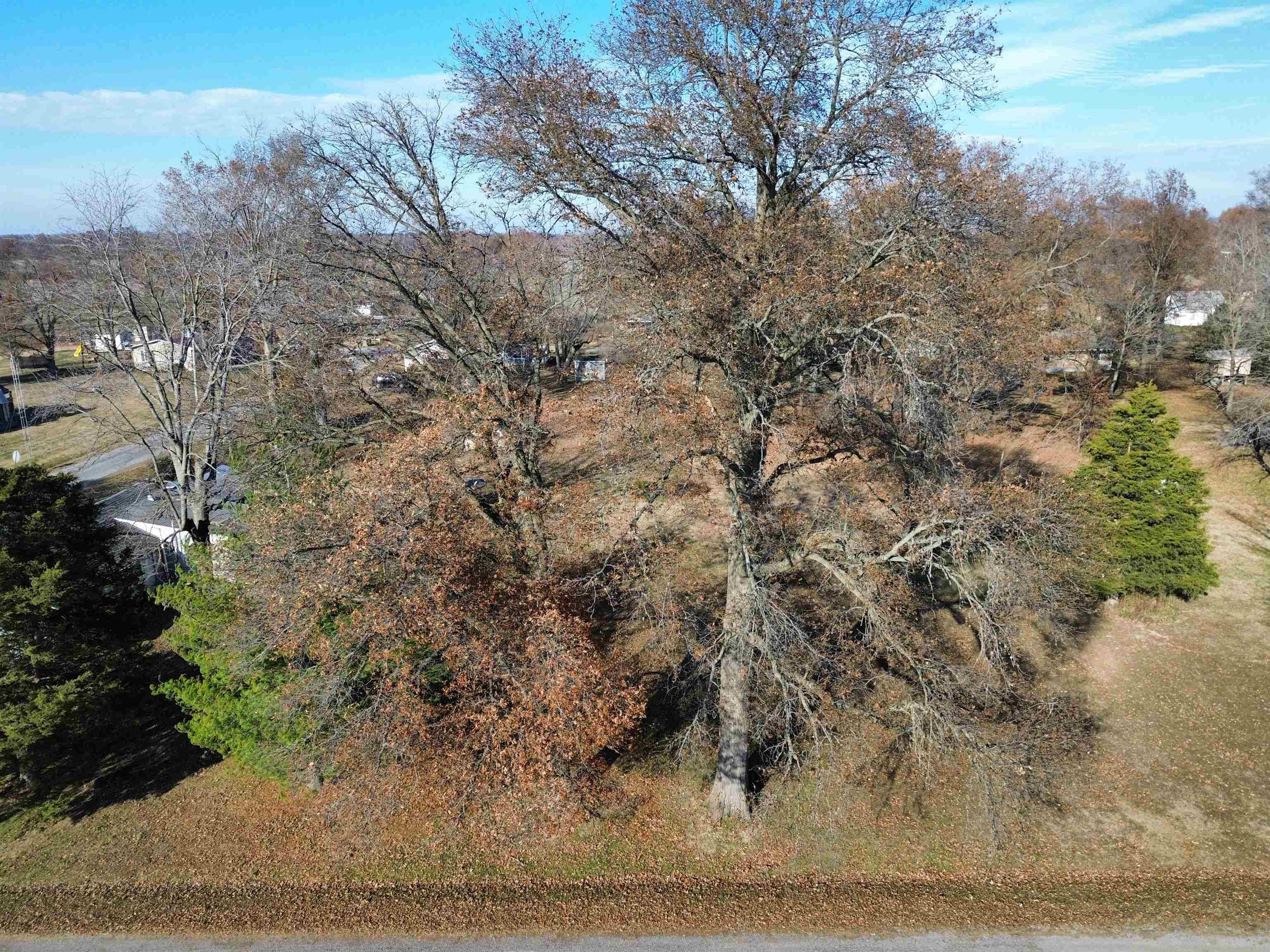 104 Malone Street Sims, IL 62886 - Photo 6 of 13