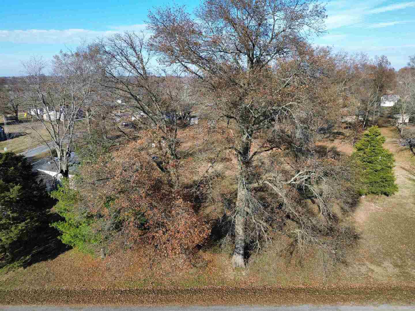 104 Malone Street Sims, IL 62886 - Photo 6 of 13 a view of a yard