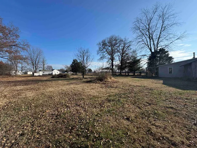 a view of dirt yard with a large tree