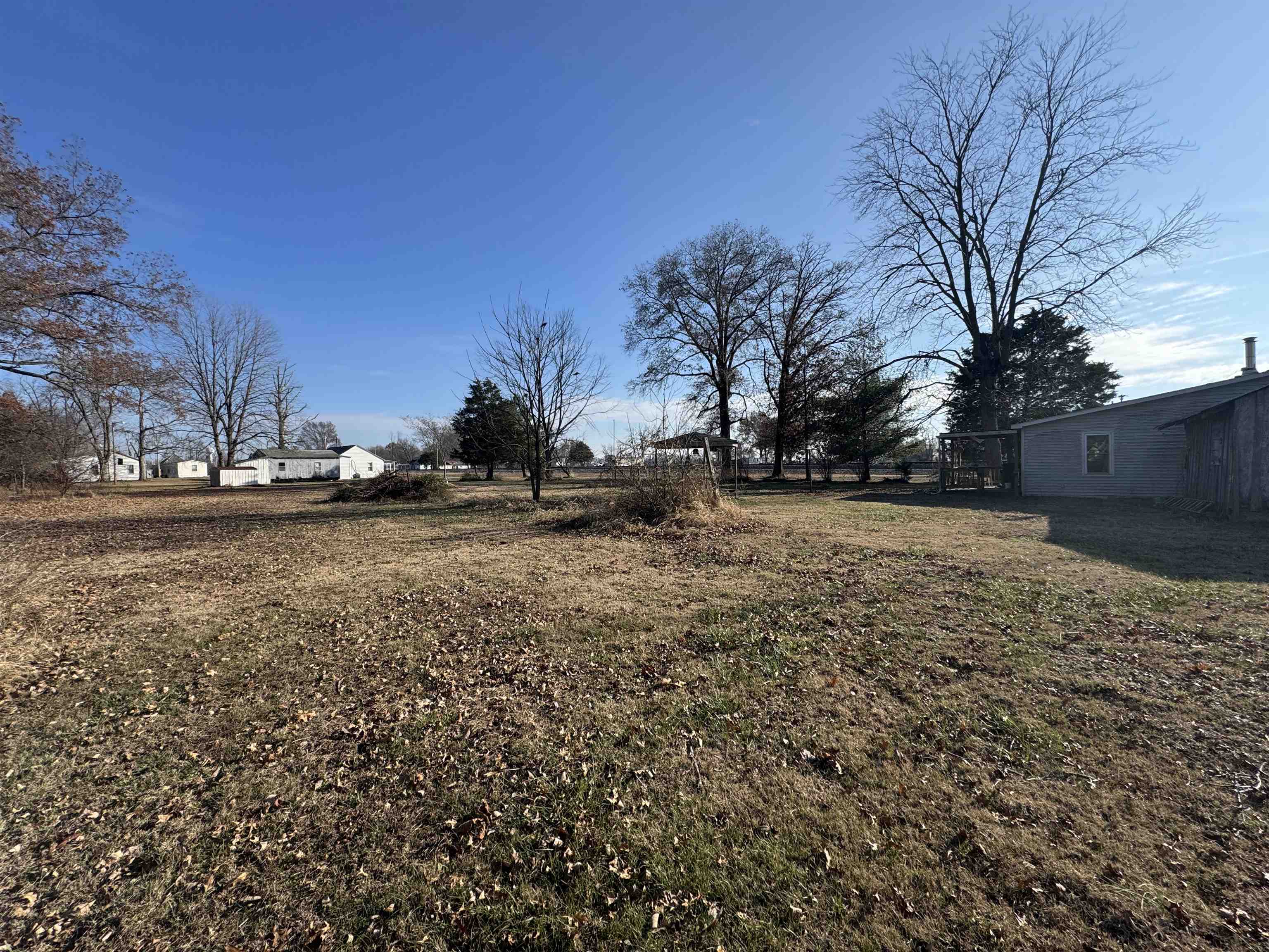 104 Malone Street Sims, IL 62886 - Photo 8 of 13