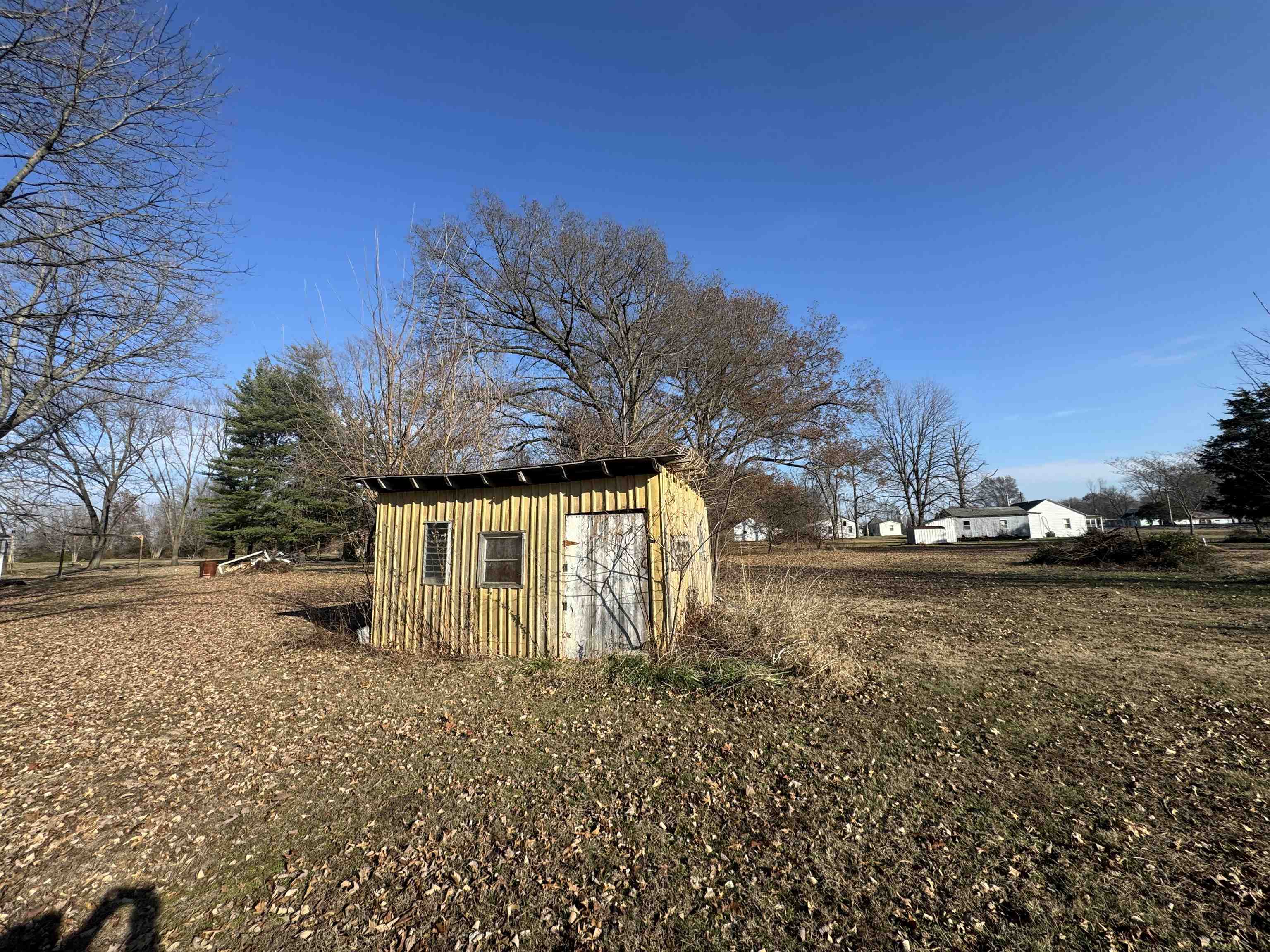 104 Malone Street Sims, IL 62886 - Photo 9 of 13