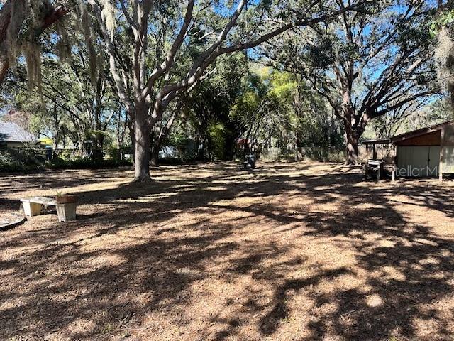 1918 Sydney Road Valrico, FL 33594 - Photo 7 of 20