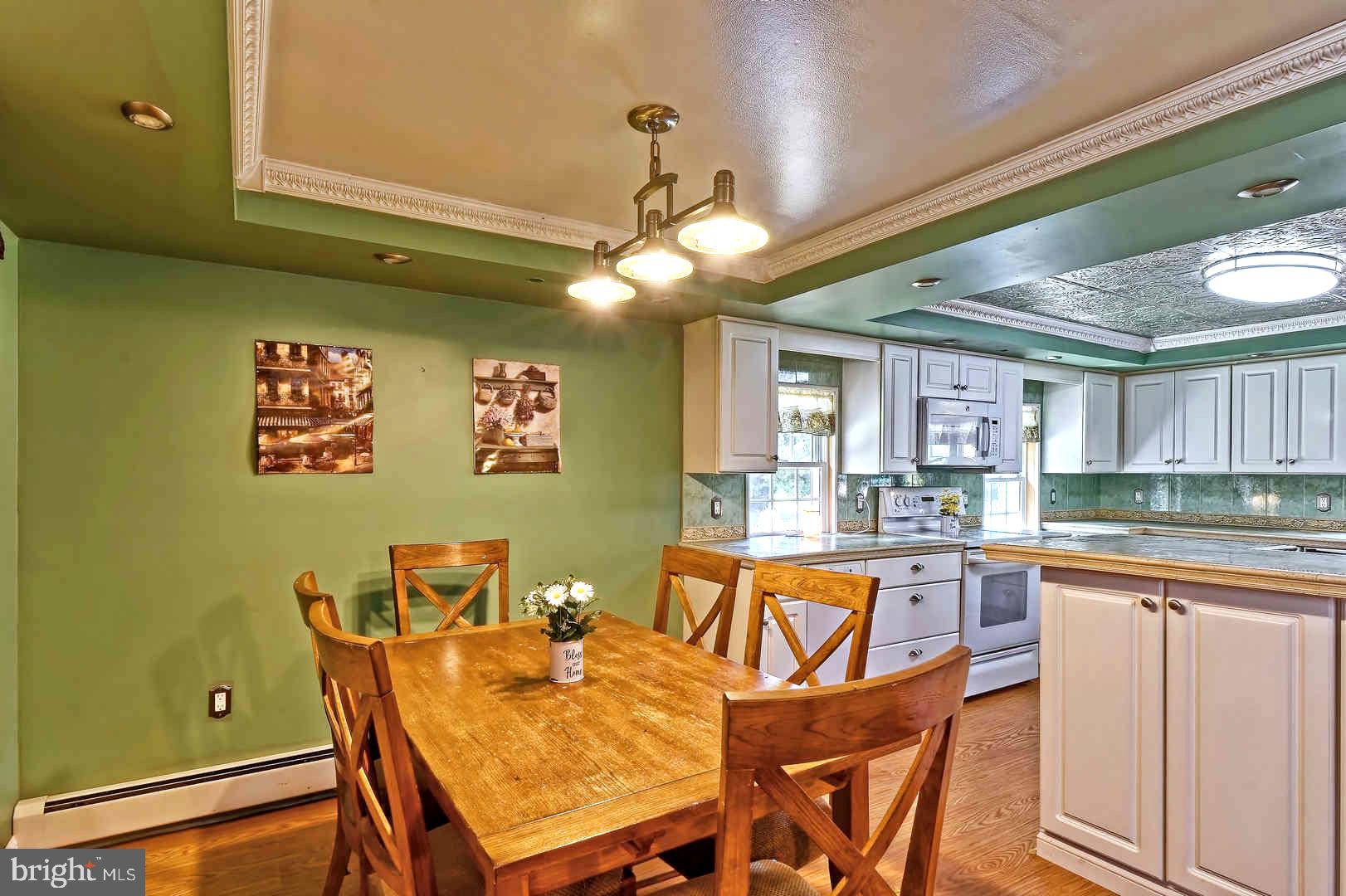 13 Hell Neck Road Salem, NJ 08079 - Photo 15 of 37 Eat-In Kitchen with Tray Ceiling