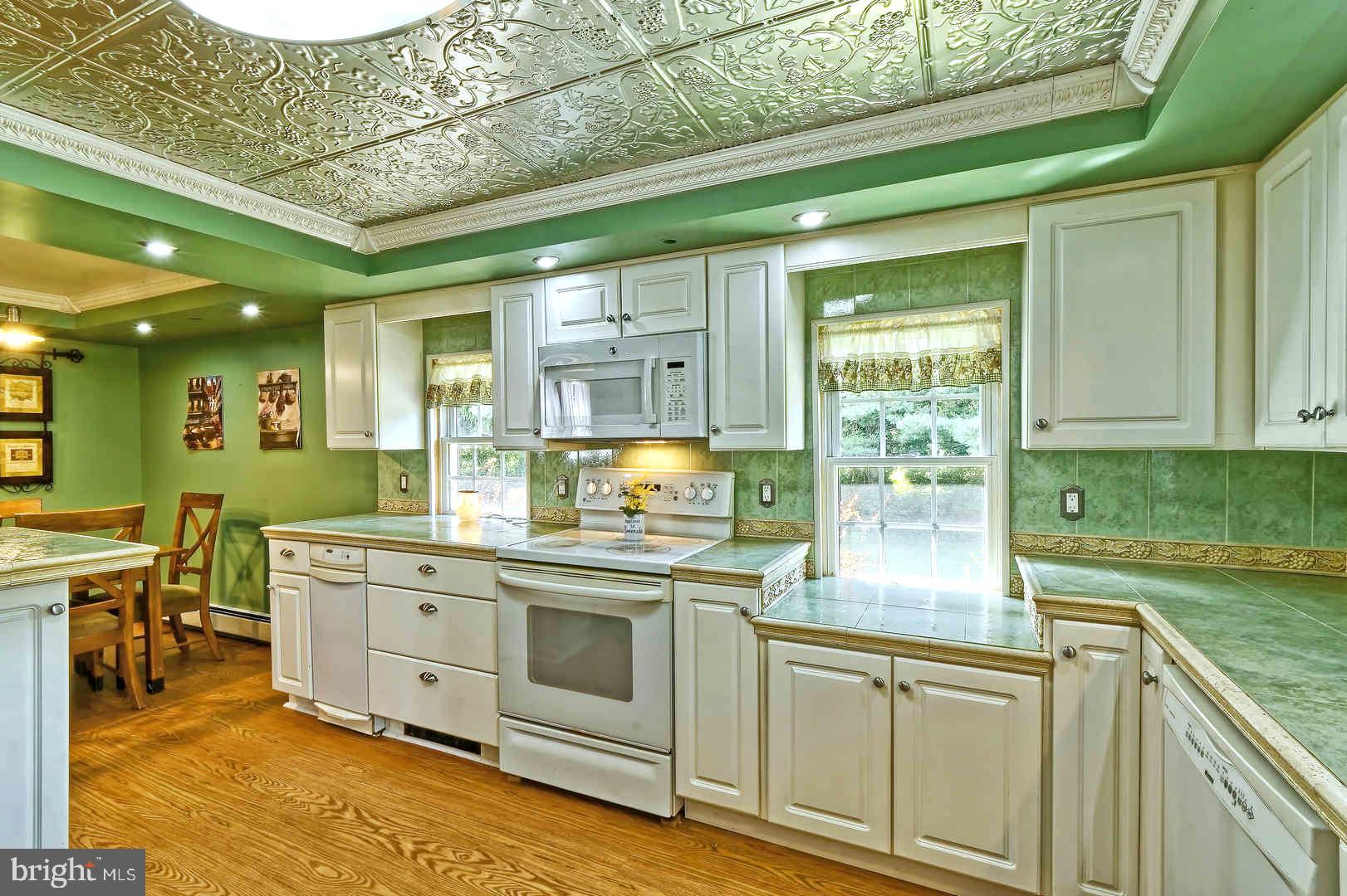 13 Hell Neck Road Salem, NJ 08079 - Photo 19 of 37 Kitchen w/ Build in Trash Compactor, Dishwasher