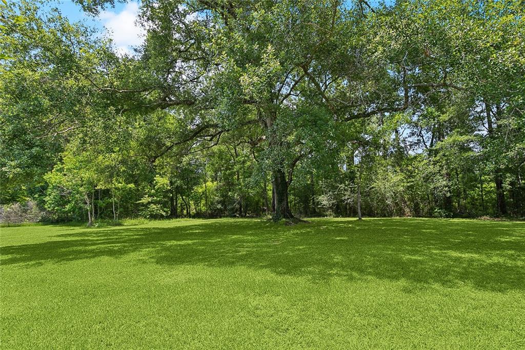 12175 Reid Road Amite, LA 70422 - Photo 19 of 21 Gallery Image 19