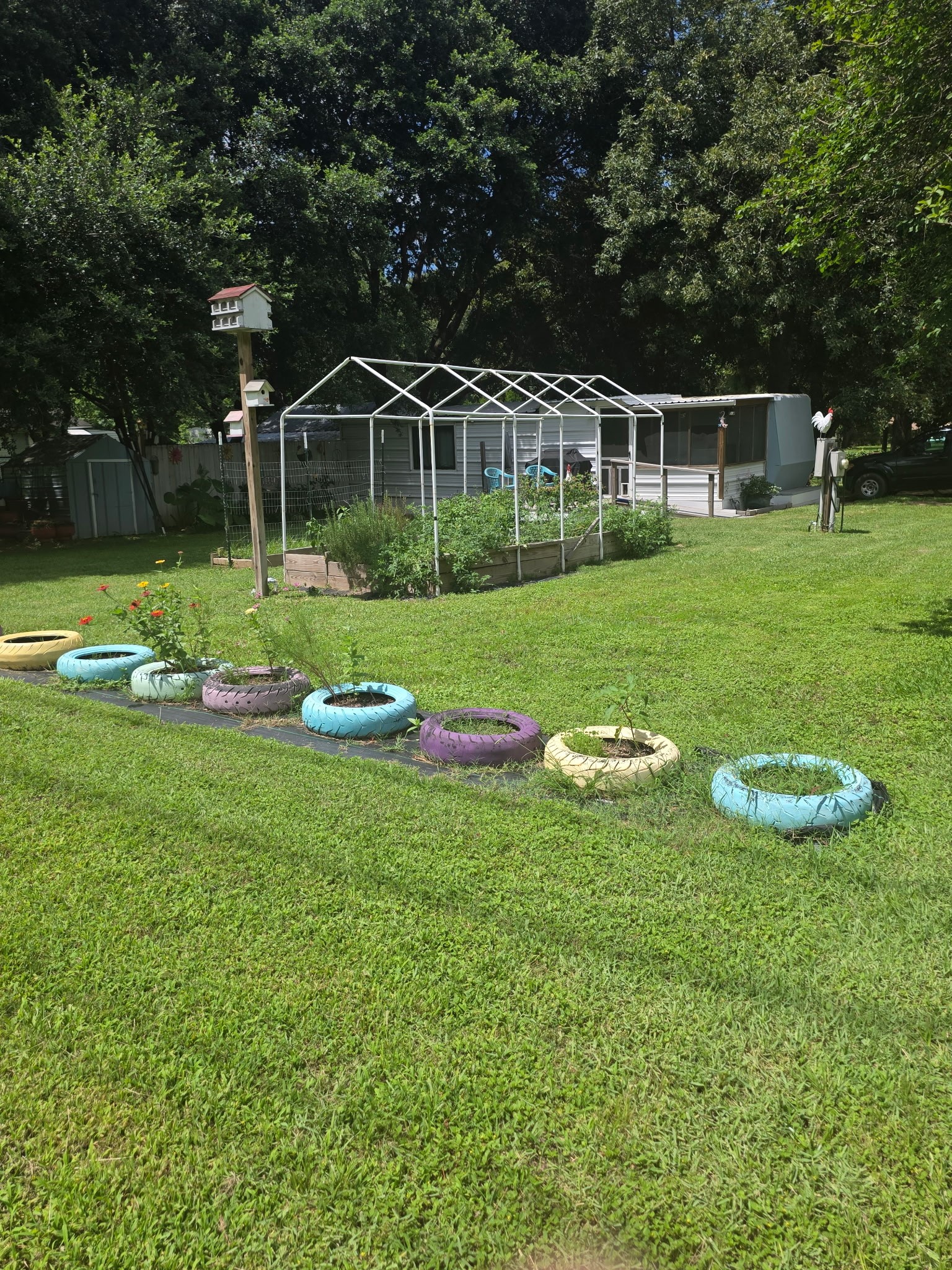 11 Pine Road Coldspring, TX 77331 - Photo 4 of 32 a view of a house with backyard