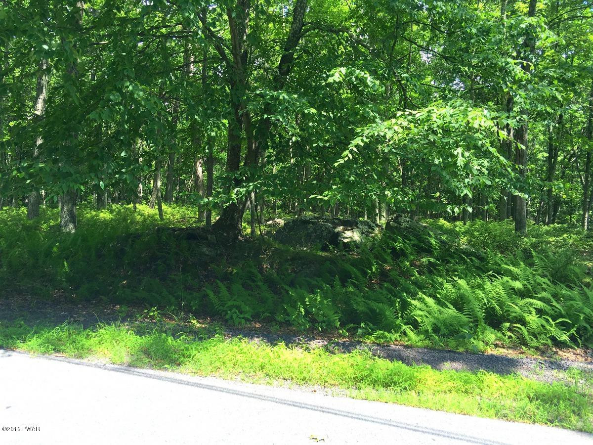 Lot 1127 Perch Road Lackawaxen, PA 18435 - Photo 1 of 8