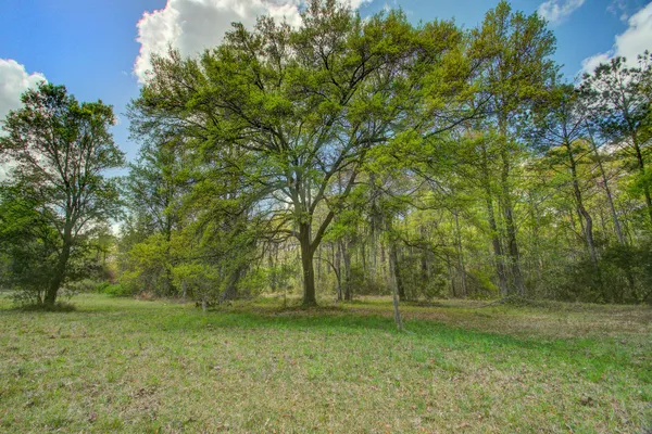 $1,500,000 | 5865 Octavia Avenue, Ravenel, SC 29470