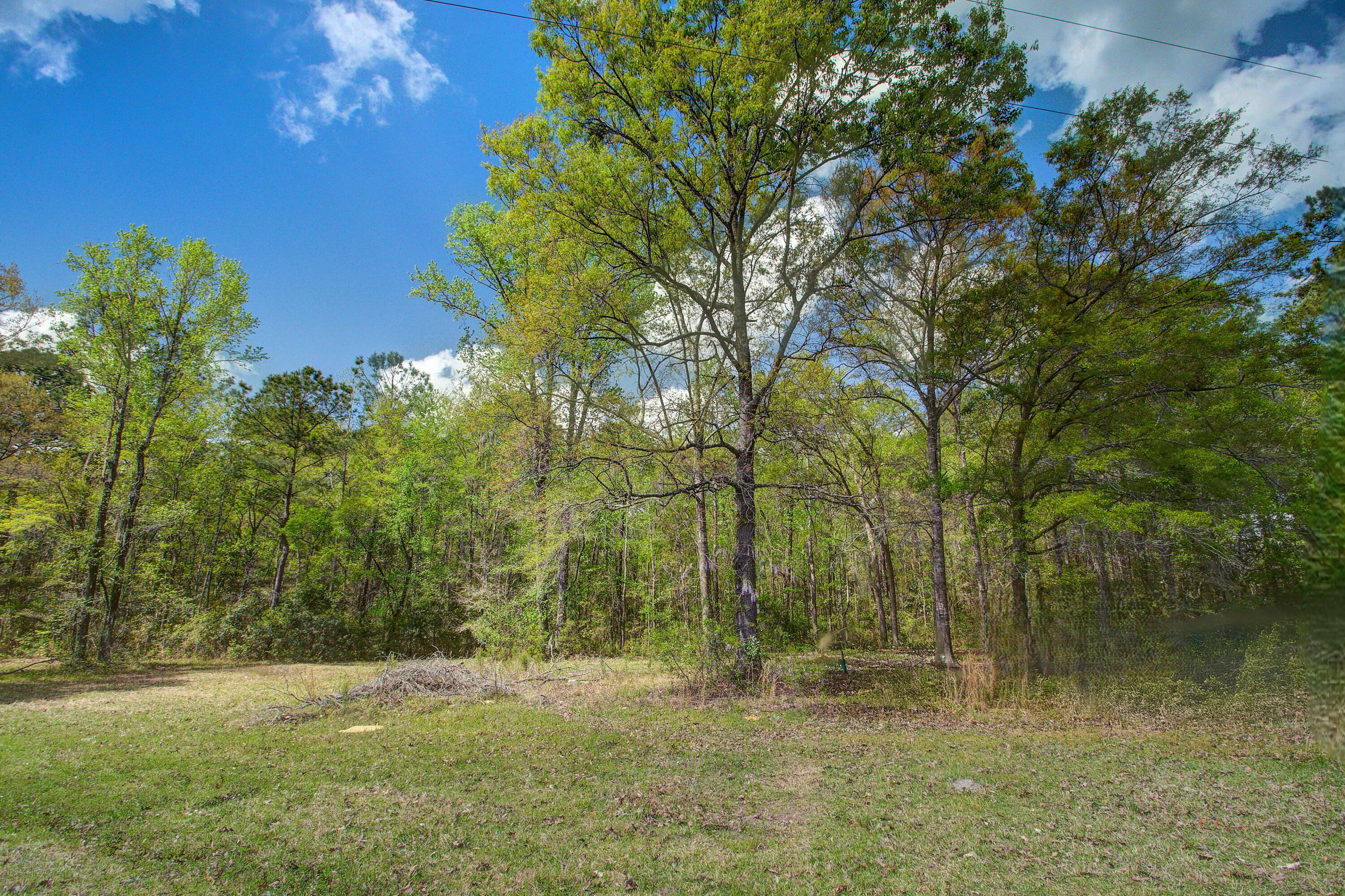 5865 Octavia Avenue Ravenel, SC 29470 - Photo 2 of 12 5865 (3)