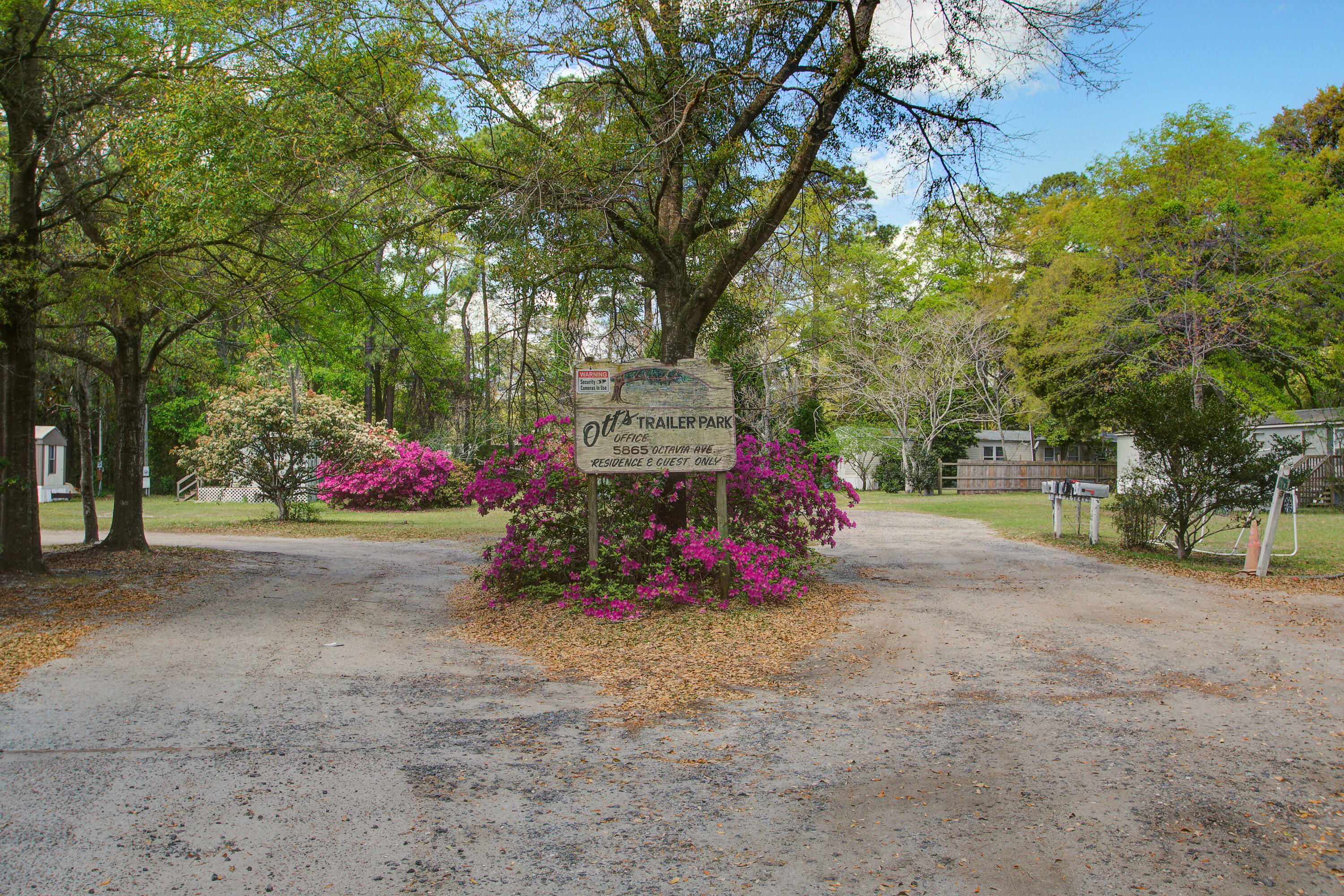 5865 Octavia Avenue Ravenel, SC 29470 - Photo 3 of 12 5865 (1)