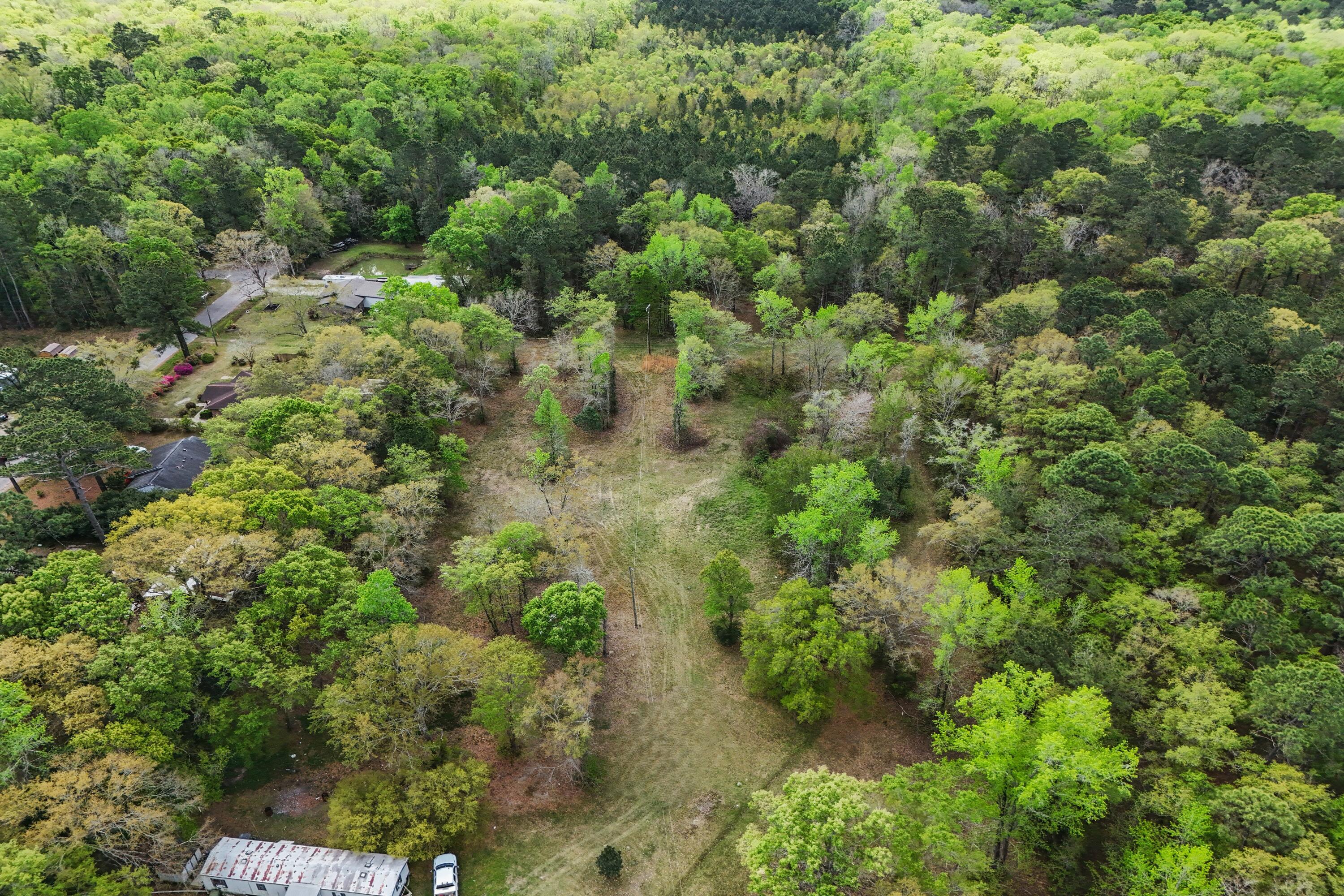 5865 Octavia Avenue Ravenel, SC 29470 - Photo 8 of 12 5865D (6)