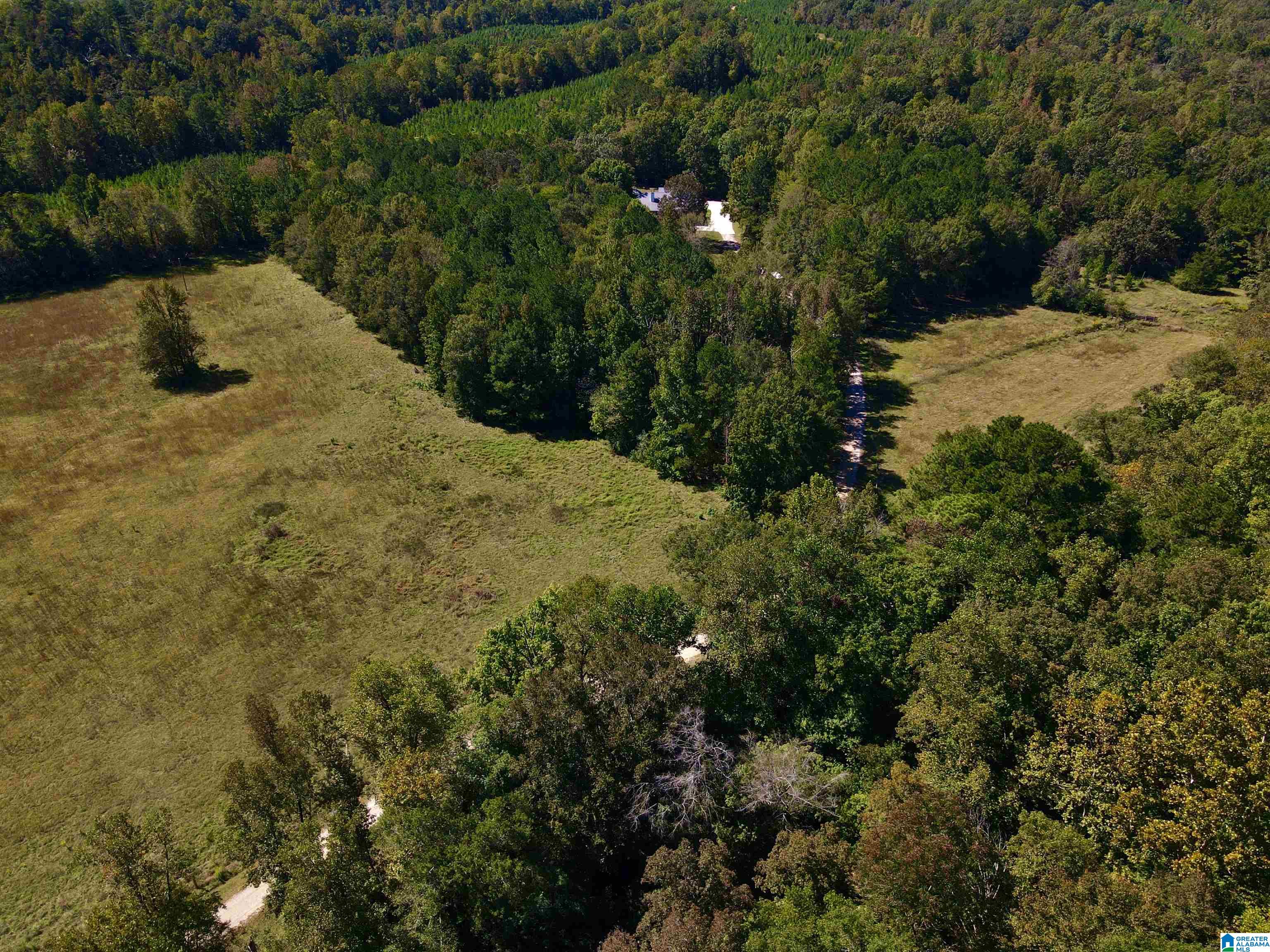 263 Pebble Road Montevallo, AL 35115 - Photo 42 of 50