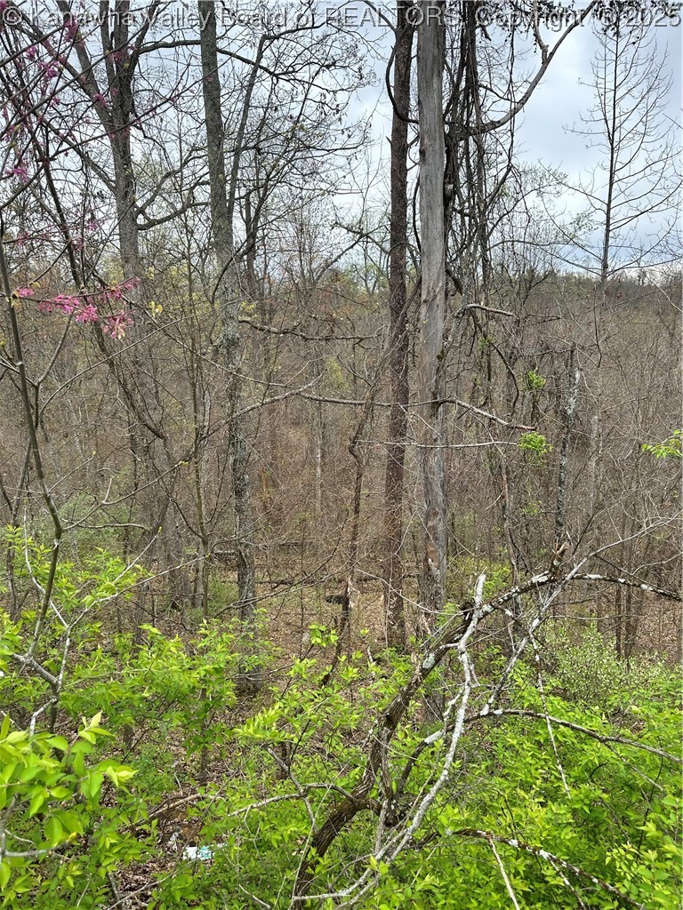 0 Pleasant View Road Huntington, WV 25701 - Photo 3 of 9 Gallery Image 3