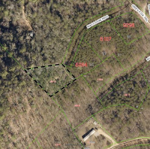100 Raccoon Ridge, Unit 13 Marion, NC 28752 - Photo 1 of 4 Gallery Image 1