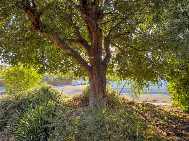 a view of backyard of house with green space