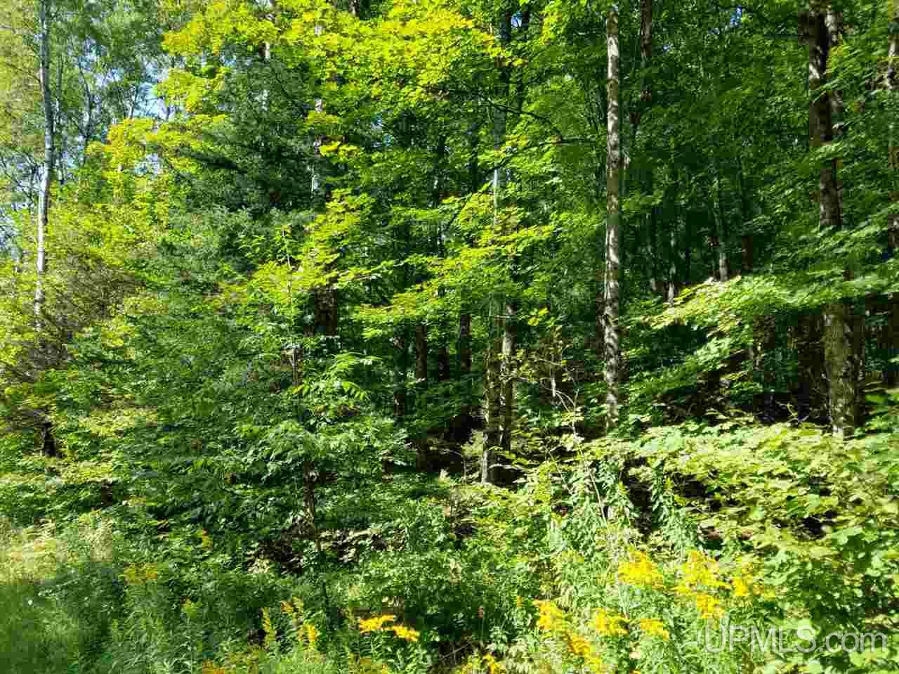 Tbd Off Co Rd 426 Ralph, MI 49877 - Photo 2 of 5