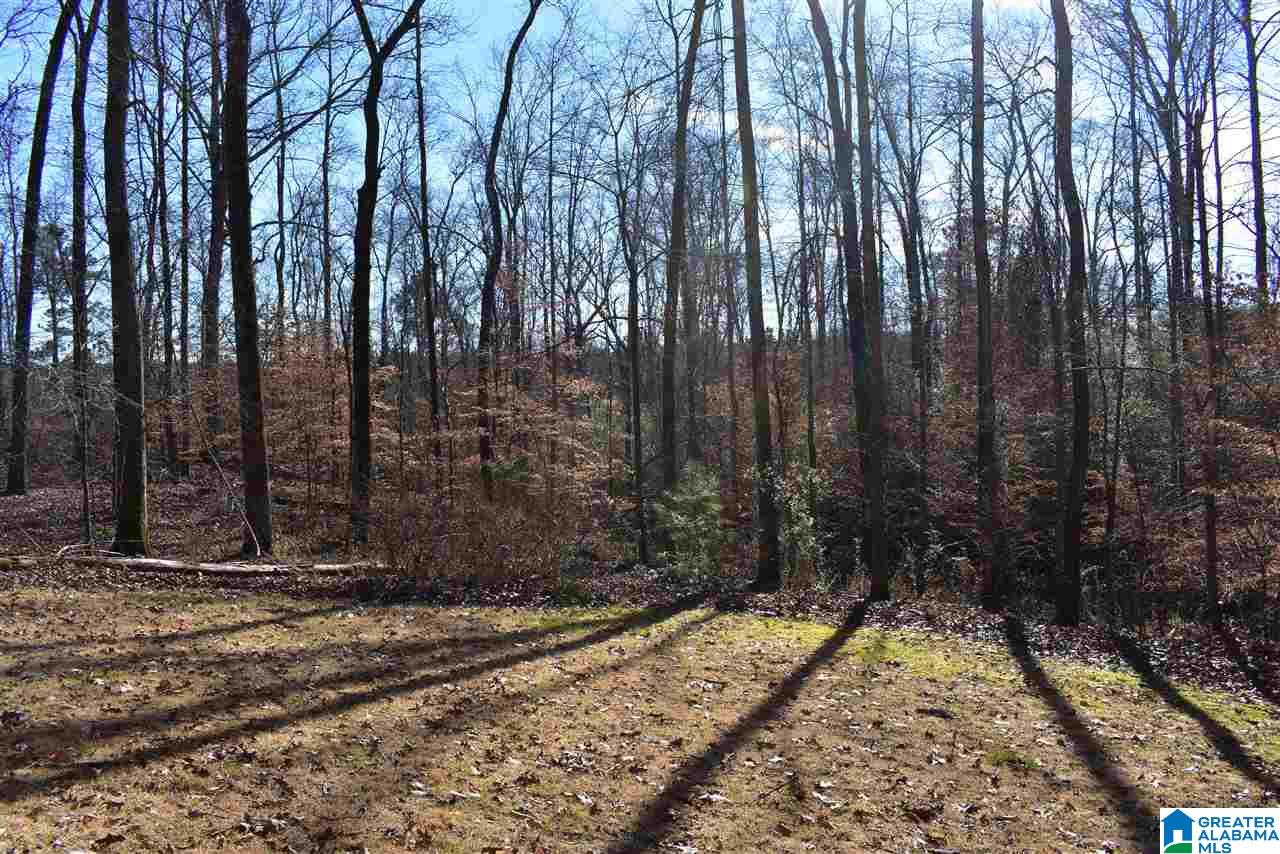 8333 Chelsea Road Columbiana, AL 35051 - Photo 48 of 50