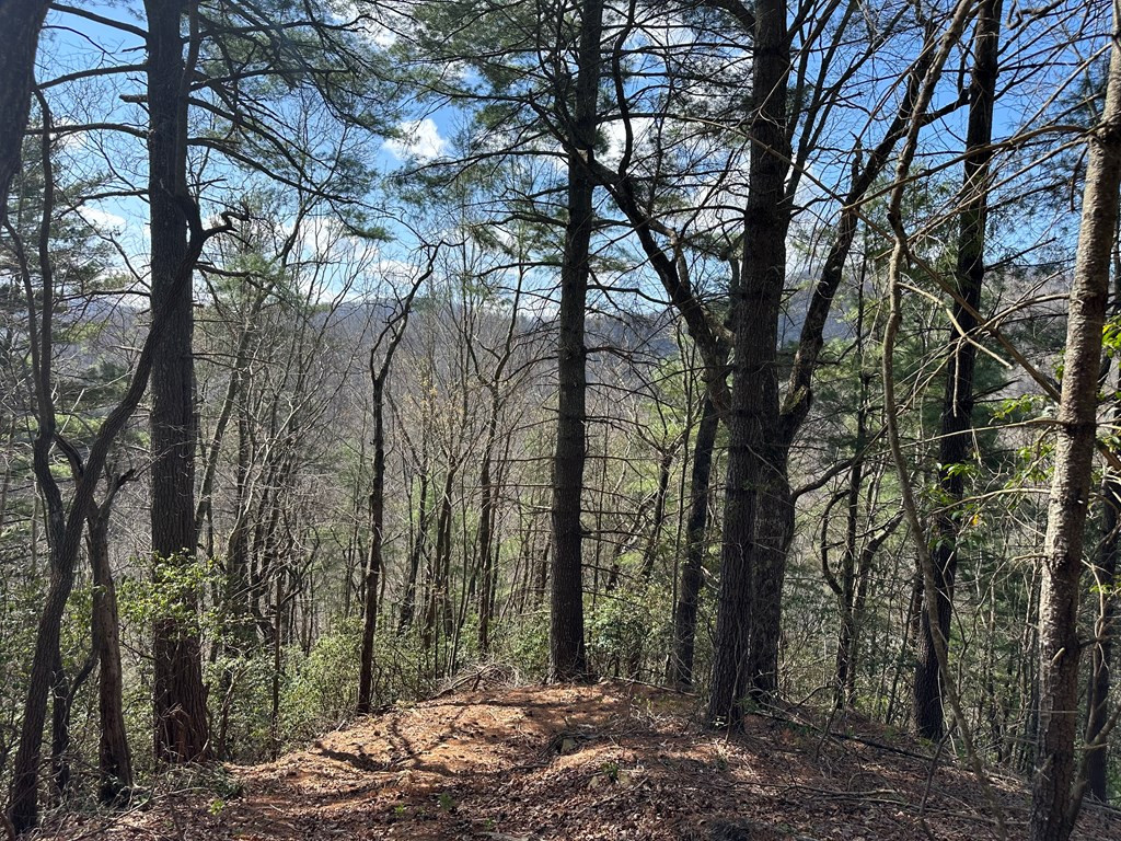 Lot 5 Huffman Creek Road Robbinsville, NC 28771 - Photo 12 of 13