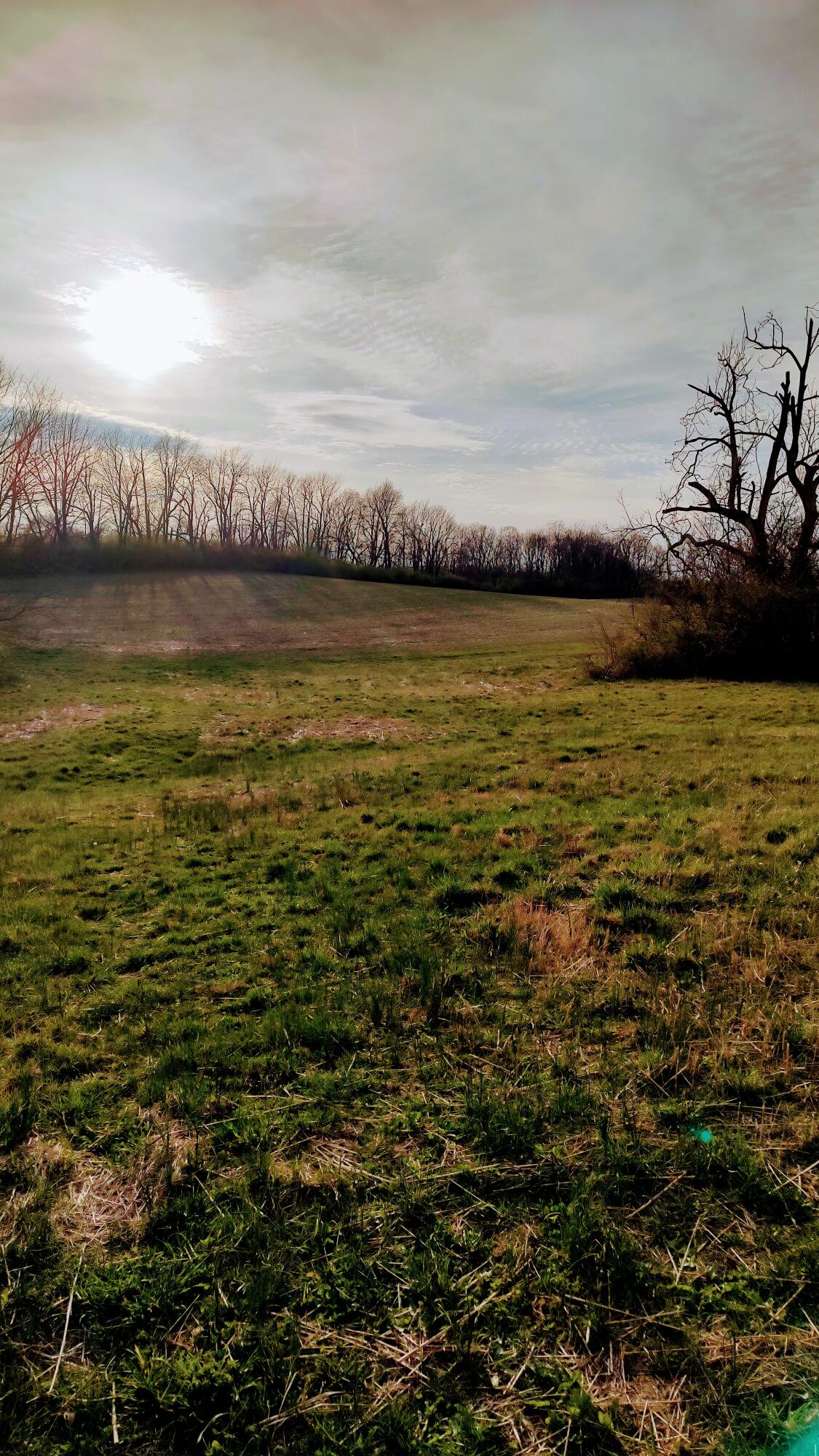 4290 Lexington Road Paris, KY 40361 - Photo 4 of 15 IMG_20230311_173142239_HDR