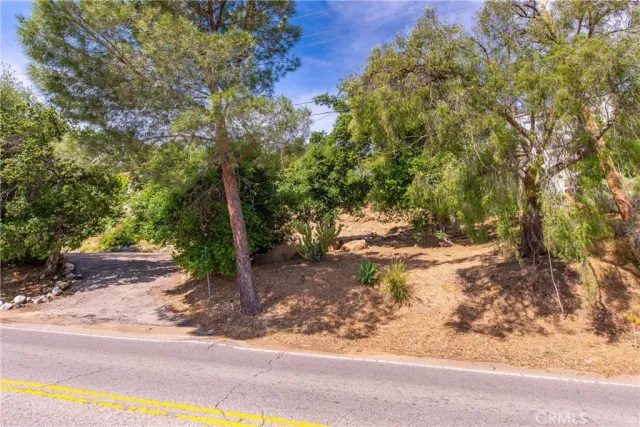 a view of a yard with plants and trees