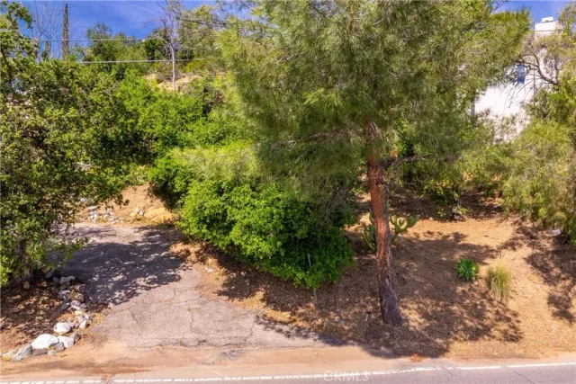 a view of a large yard with lots of green space