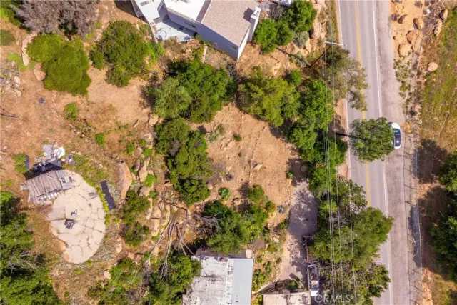 a picture of flowers