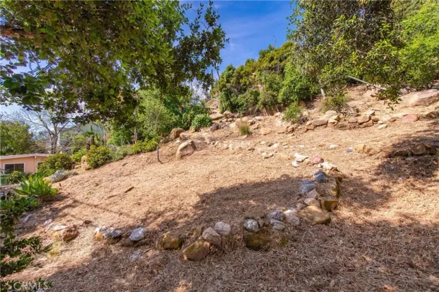 a view of a yard with a tree