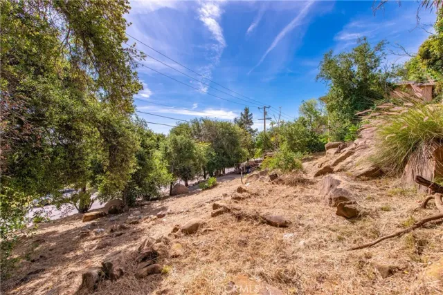 a view of a dry yard with trees