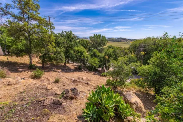 a view of a yard with a tree