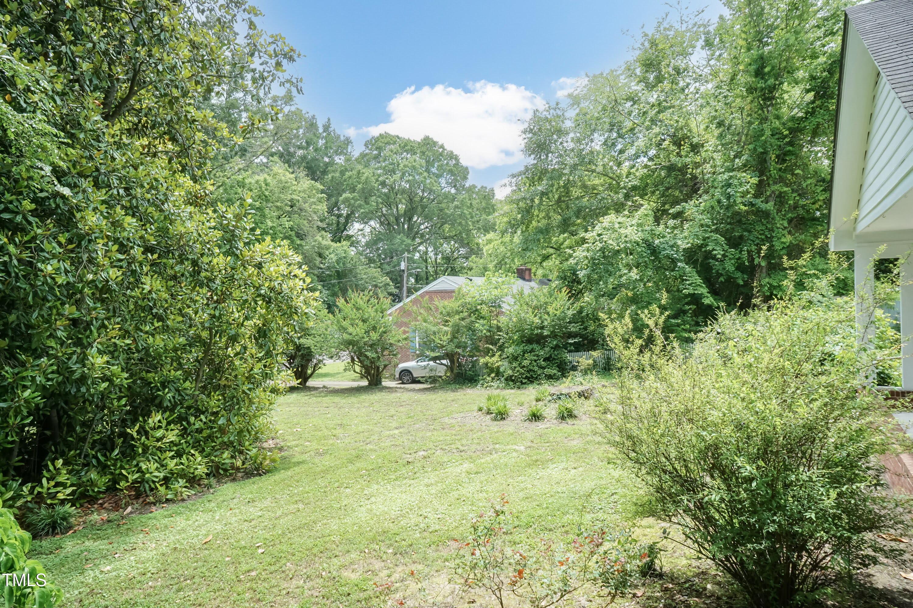 303 Spring Street Louisburg, NC 27549 - Photo 44 of 47 Back Yard 01