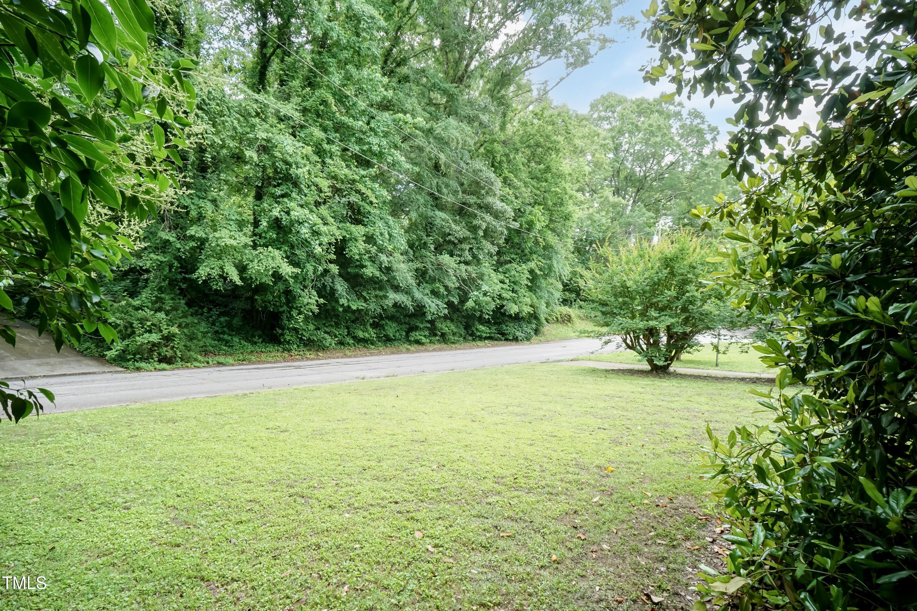 303 Spring Street Louisburg, NC 27549 - Photo 45 of 47 Back Yard 04