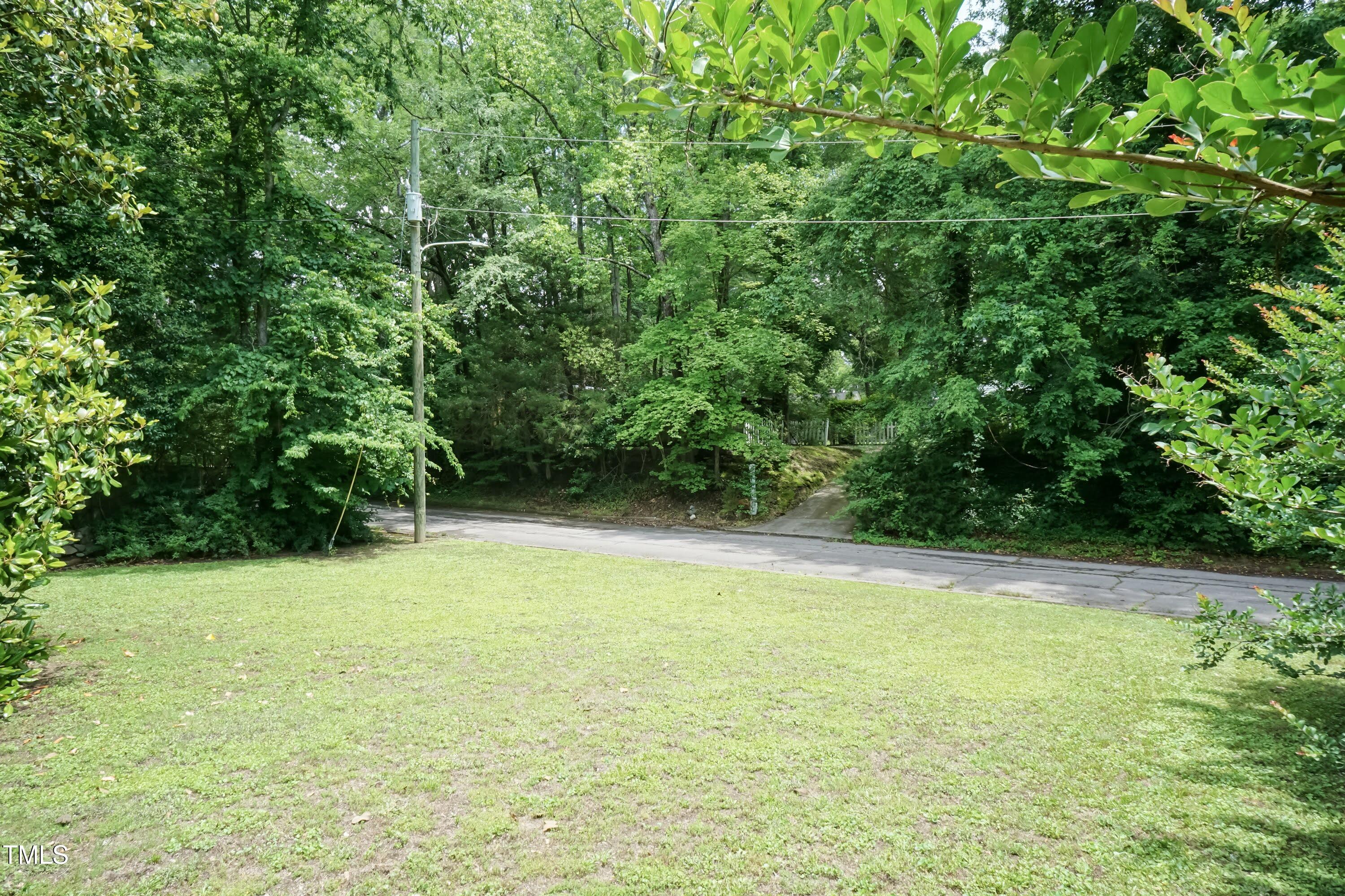 303 Spring Street Louisburg, NC 27549 - Photo 46 of 47 Back Yard 03