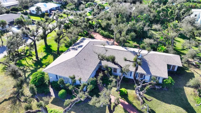 a view of a bunch of flowers in a garden