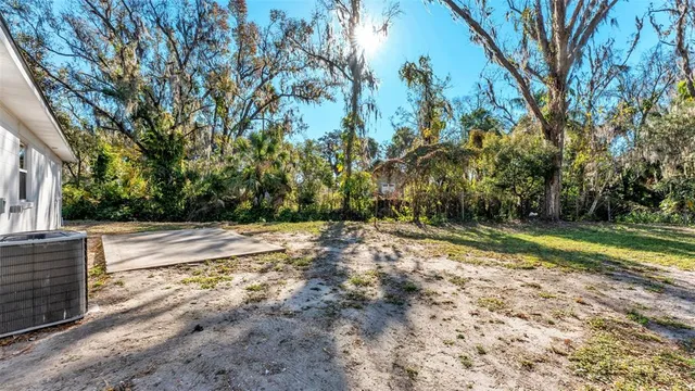 a view of a yard with large trees