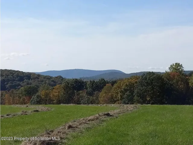 a view of grassy field with mountain