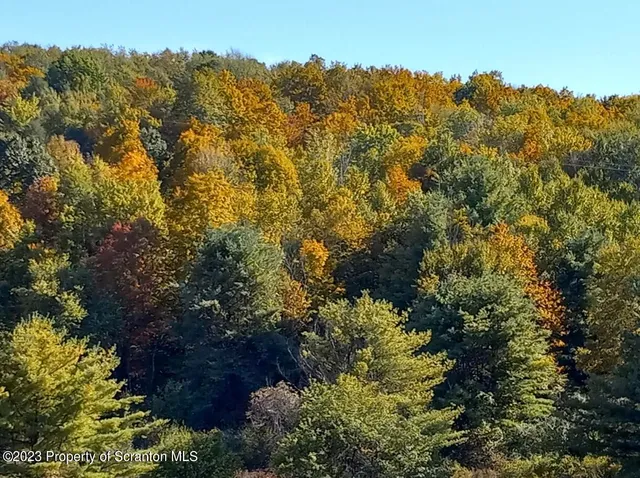 a view of a building