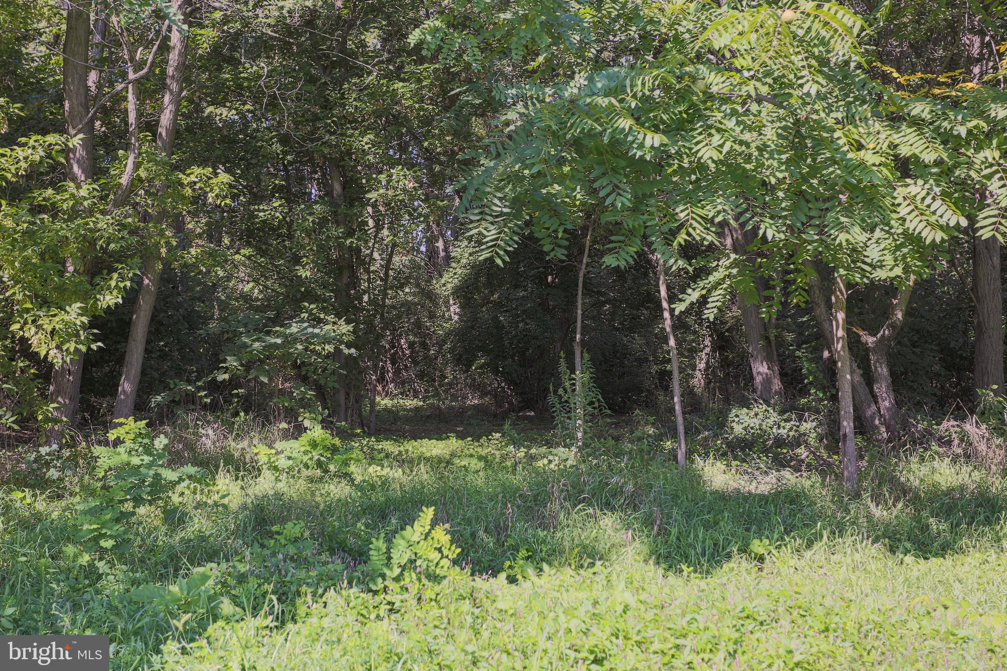 116 Neil Road Shippensburg, PA 17257 - Photo 23 of 48 Gallery Image 23