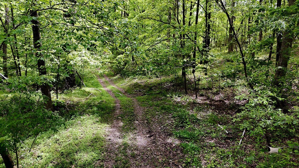 0 Billy Wynn Road Dickson, TN 37055 - Photo 23 of 44