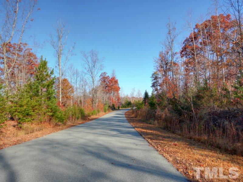 Lot 27 Buckhorn Ridge Road Mebane, NC 27302 - Photo 3 of 10 Gallery Image 3